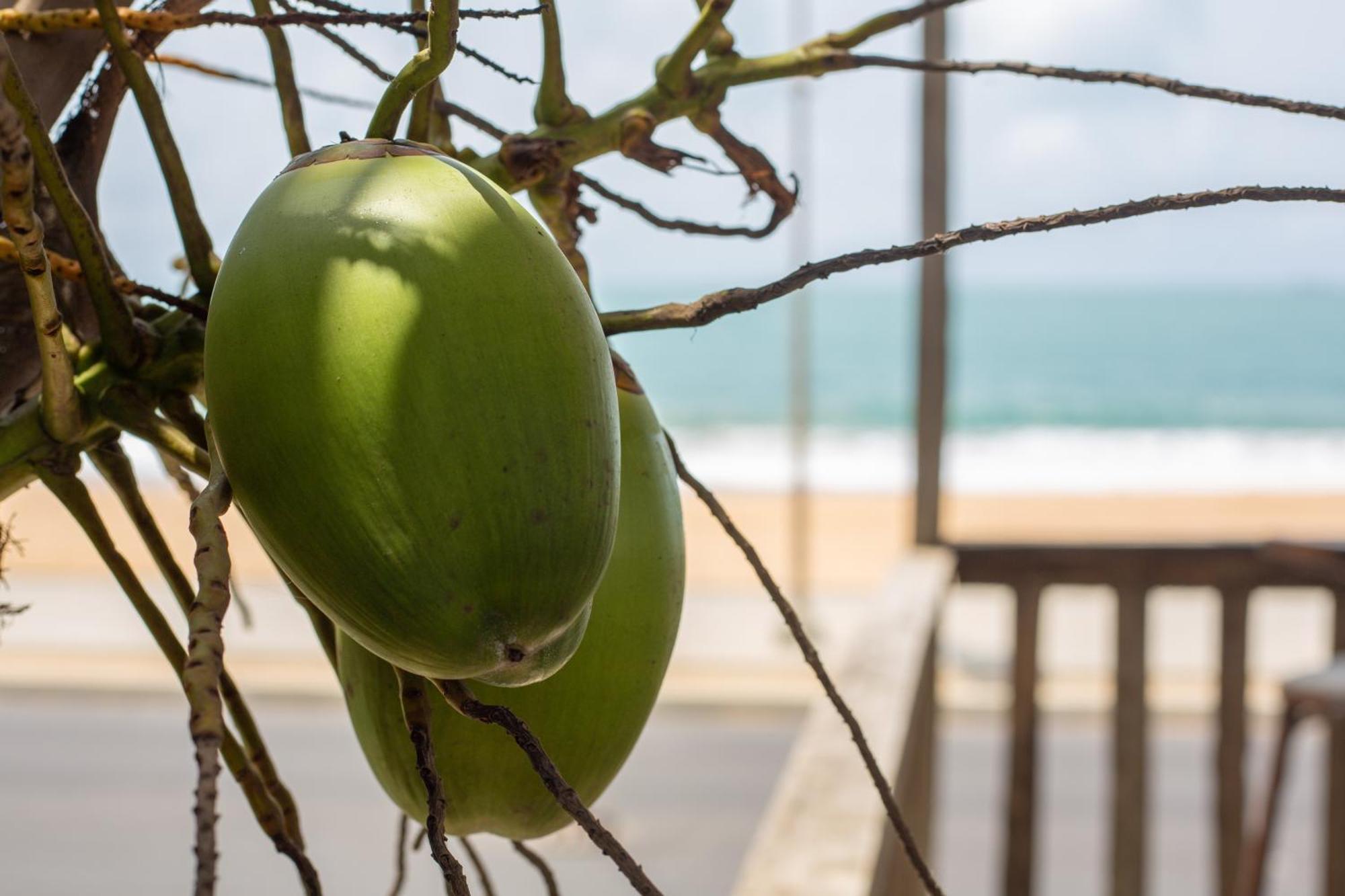 Tahiti Hotel Cotonou Eksteriør billede